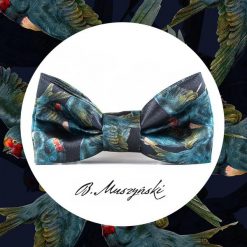 Muchy męskie: Muszka Hirundo