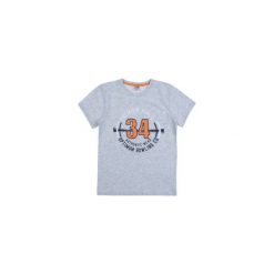 T-shirt chłopięcy. Szare t-shirty chłopięce TXM, z nadrukiem, z bawełny, z krótkim rękawem. Za 9,99 zł.