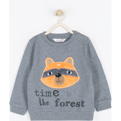 Bluza. Szare bluzy chłopięce marki FOREST, z aplikacjami, z bawełny. Za 65,90 zł.