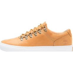 Trampki męskie: Timberland ADV 2.0 CUPSOLE ALPINE OX Tenisówki i Trampki wheat