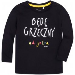 T-shirty chłopięce: Koszulka dla dziecka 2-4 lata