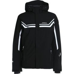 Kurtki sportowe męskie: Icepeak NIKLAUS Kurtka snowboardowa black
