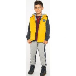 Lemon Explore - Bezrękawnik dziecięcy 122-164 cm. Zielone kurtki chłopięce marki LEMON explore, bez wzorów, z bawełny, bez kaptura. W wyprzedaży za 69,90 zł.