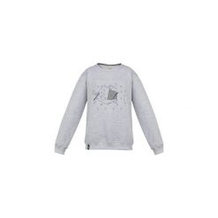 Bluzy męskie: FANTOMAS White Rock – bluza