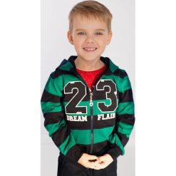 Zielono-granatowa bluza chłopięca w pasy NDZ9025. Zielone bluzy chłopięce marki Fasardi. Za 49,00 zł.