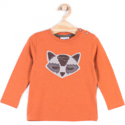 Koszulka. Brązowe t-shirty chłopięce z długim rękawem SCENT, z aplikacjami, z bawełny. Za 34,90 zł.