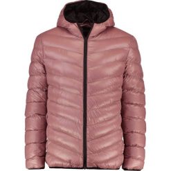 Kurtki męskie bomber: Burton Menswear London GLACIER SLATE Kurtka zimowa pink