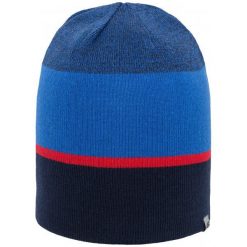 Czapki męskie: 4F Męska Czapka H4Z17 cam004 Kobalt L-Xl