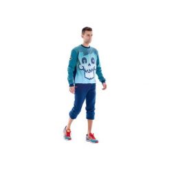 Cristal Skull Sweatshirt (Turquoise). Niebieskie bluzy męskie OKUAKU, xxl, z nadrukiem, z bawełny. Za 209,25 zł.