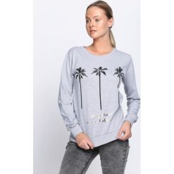 Szara Bluza Beach California. Szare bluzy damskie Born2be, l. Za 49,99 zł.