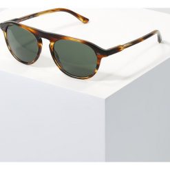 Okulary przeciwsłoneczne męskie: Giorgio Armani Okulary przeciwsłoneczne brown/green
