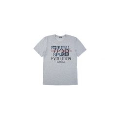 T-shirt krótki rękaw męski z printem. Szare t-shirty męskie TXM, m, bez wzorów, bez kołnierzyka, krótkie. Za 24,99 zł.