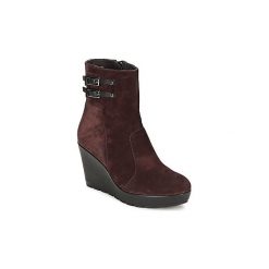 Botki damskie: Botki Stonefly JANIS
