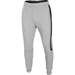4F Spodnie dresowe Szary. Szare spodnie męskie 4f, xl, z elastanu. Za 171,95 zł.