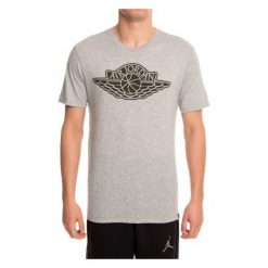 Nike Koszulka Jordan Sportswear Iconic Wings szara r. L (834476 063). Szare t-shirty męskie Nike, l. Za 129,90 zł.