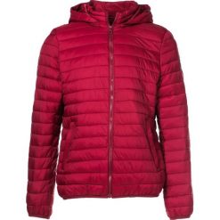 Bordowa Kurtka Grynnell. Czerwone kurtki męskie Born2be, xl, bez wzorów, bez kaptura. Za 119,99 zł.