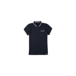T-shirt polo męski z nadrukiem. Szare koszulki polo marki TXM, z dresówki. Za 19,99 zł.