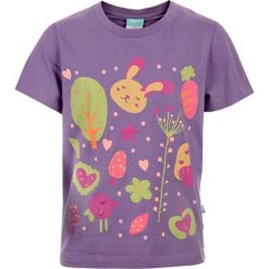 T-shirty chłopięce: Koszulka HAAS KIDS VIOLET 122