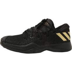 Buty sportowe męskie: adidas Performance HARDEN B/E Obuwie do koszykówki cblack/ngtcar/cblack