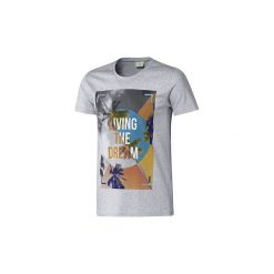 T-shirty i Koszulki polo adidas T-shirt B89613. Szare koszulki męskie marki Adidas, xs, bez wzorów, polo, bez rękawów. Za 59,99 zł.