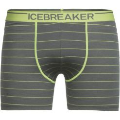 Bokserki męskie: Icebreaker Mens Anatomica Boxers Metal/Citron/Stripe L