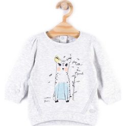 Bluzy dziewczęce rozpinane: Coccodrillo - Bluza dziecięca 68-86 cm