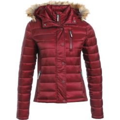 Superdry LUXE FUJI Kurtka zimowa garnet. Czerwone kurtki damskie Superdry, xl, bez wzorów, z nylonu. W wyprzedaży za 447,20 zł.
