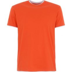 T-shirty męskie: T-shirt męski