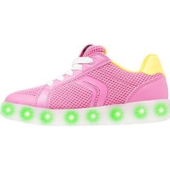 Geox KOMMODOR GIRL Tenisówki i Trampki fuchsia/light yellow. Czerwone trampki chłopięce marki Geox, z materiału. Za 309,00 zł.