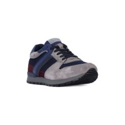 Trampki męskie: Buty Harmont Blaine HARMONT BLAINE ALLACCIATA
