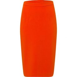 Spódniczki ołówkowe: IVY & OAK PENCIL SKIRT Spódnica ołówkowa pumpkin red
