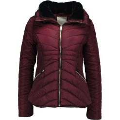 Kurtki damskie: Bellfield DELUNE Kurtka zimowa merlot