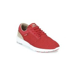 Trampki męskie: Buty Supra HAMMER RUN
