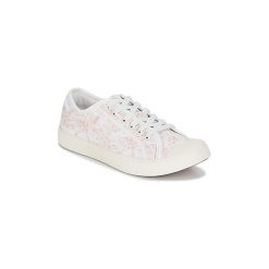 Trampki męskie: Buty Palladium PALLAPHOENIX CVS PRT