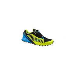 Buty do biegania Dynafit 64028-3101 Alpine Pro. Szare buty sportowe męskie marki Dynafit, bez zapięcia, do biegania. Za 499,10 zł.