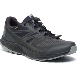 Buty SALOMON - Sense Escape 2 Gtx GORE-TEX 406771 28 W0 Ebony/Black/Monument. Szare buty sportowe męskie Salomon, z materiału, do biegania. W wyprzedaży za 349,00 zł.