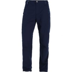 Chinosy męskie: Patagonia VENGA ROCK Spodnie materiałowe navy blue