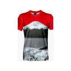 Great Fuji men's t-shirt. Szare t-shirty męskie Mars from venus, s, bez wzorów, bez kołnierzyka. Za 118,30 zł.