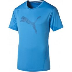 Koszulki sportowe męskie: Puma Koszulka Sportowa Cool Cat Graphic Tee Cloisonné/Poseidon S