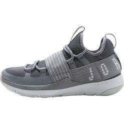 Buty sportowe męskie: Jordan TRAINER PRO Obuwie do koszykówki cool grey/pure platinum
