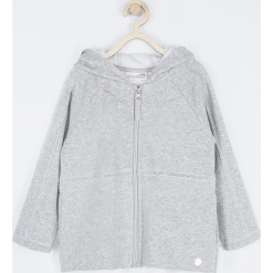 Bluza. Szare bluzy dziewczęce rozpinane OWL, z bawełny, z kapturem. Za 99,90 zł.