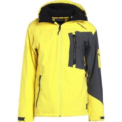 Kurtki sportowe męskie: O’Neill Kurtka snowboardowa poison yellow