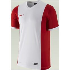 Koszulki sportowe męskie: KOSZULKA NIKE PARK DERBY (588413-106)