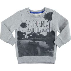 Bluzy niemowlęce: Bluza w kolorze szarym