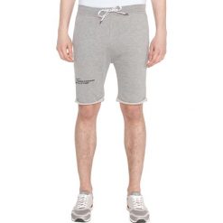 Replay Szorty Szary. Szare spodenki i szorty męskie Replay, l, bez wzorów, z bawełny. Za 412,95 zł.
