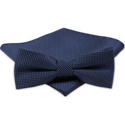 Modna Mucha Męska - Alties - Granat w Drobny Rzucik MUALTS0265. Niebieskie muszki męskie Alties, w paski, eleganckie. Za 39,00 zł.