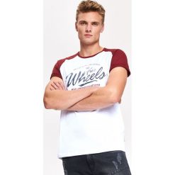 T-SHIRT MĘSKI Z KONTRASTOWYM RĘKAWEM. Białe t-shirty męskie marki Top Secret, na zimę, xl, z nadrukiem, z bawełny, z kontrastowym kołnierzykiem. W wyprzedaży za 19,99 zł.