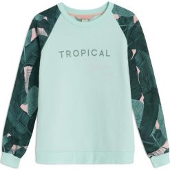 Bluzy rozpinane damskie: BLUZA SINDI HEMLOCK