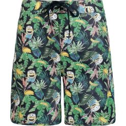 Minions Hawaii Kąpielówki wielokolorowy. Szare kąpielówki męskie marki Minions, l, z nadrukiem. Za 144,90 zł.