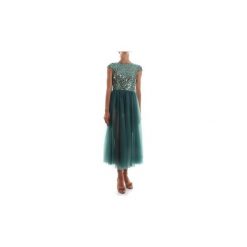 Sukienki długie Elisabetta Franchi AB47786E2. Zielone sukienki damskie Elisabetta Franchi, bez wzorów, bez kołnierzyka, bez rękawów, długie. W wyprzedaży za 1311,55 zł.